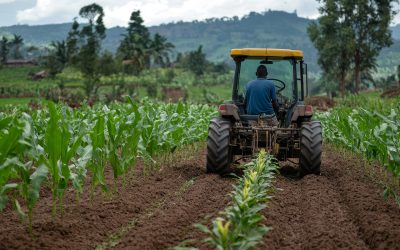 Why Tennessee Is the Perfect Home for Camp Serenity